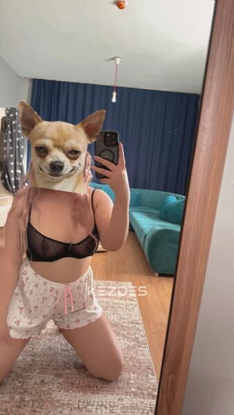 Альбина Павлодар фото — 8